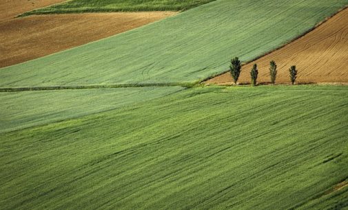 Będzie trudniej kupić działkę budowlaną